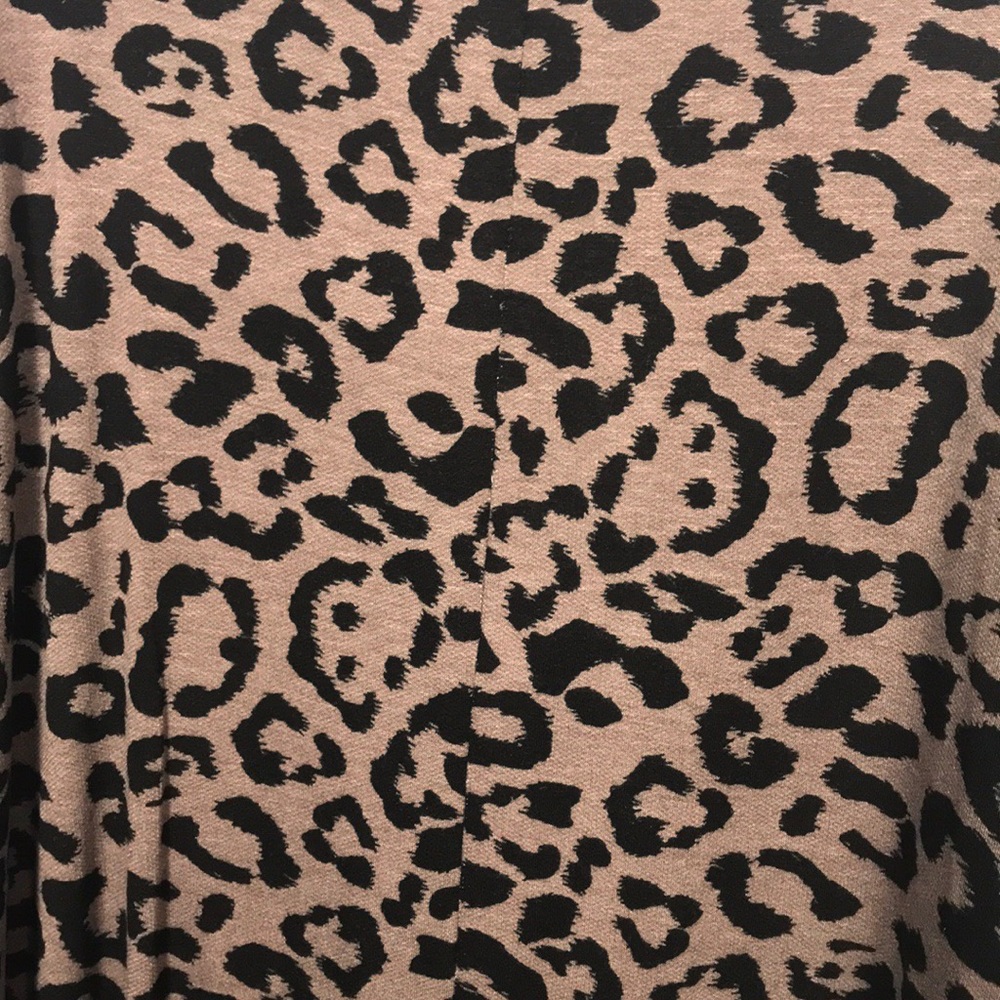 Leopard Ruffle Sleeve Top - Picture 4 of 4
